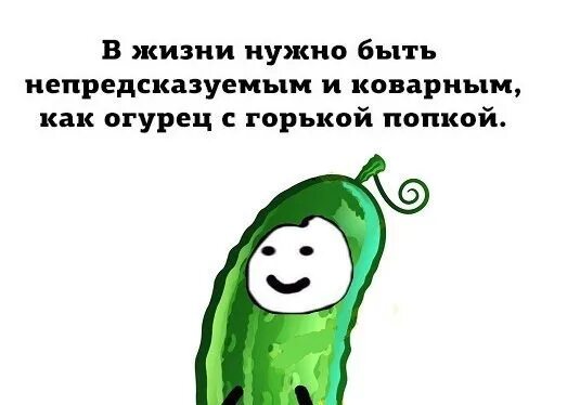 Не до завтрака, когда даже огурец хочется сосать, а не есть