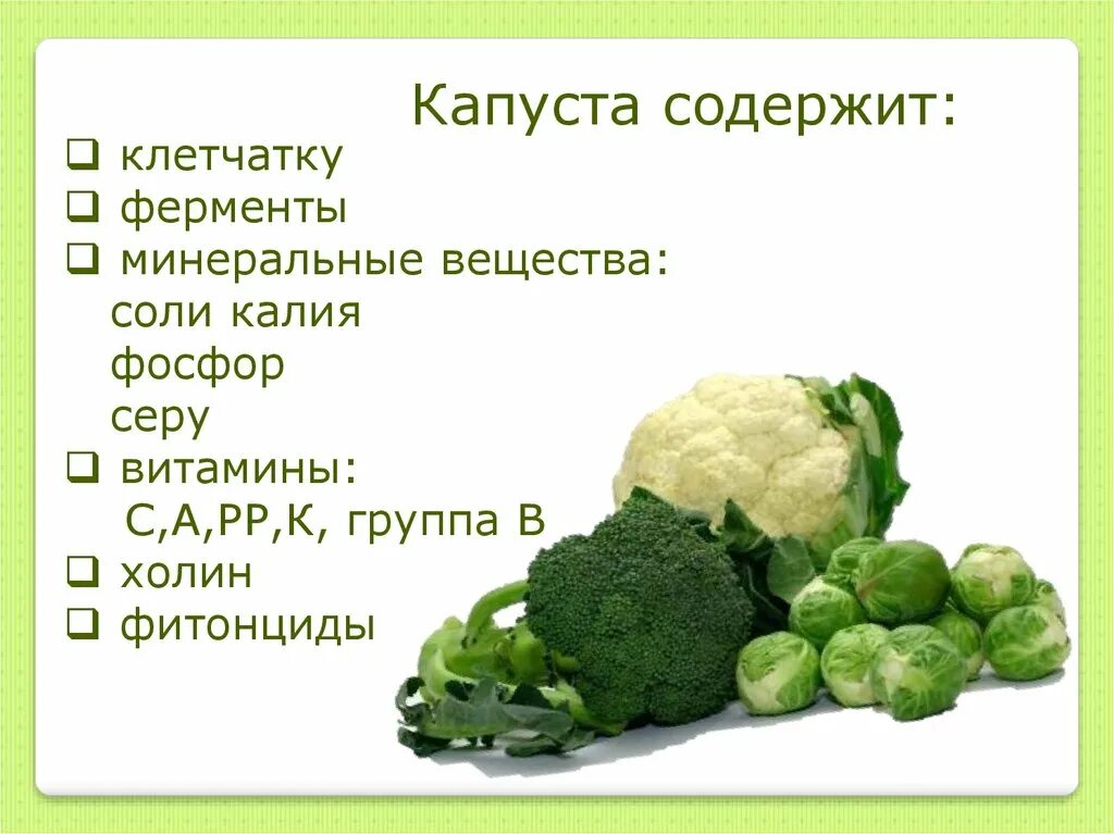 Сколько витаминов в капусте. Капуста кочанная витамины. Витамины в капусте белокочанной. Какими витаминами полезна капуста. Цветная капуста витамины.