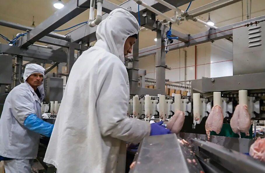 Гап ресурс птицефабрики. Белая птица белгород. Производственная 4 белгород белая птица. Рзк ресурс ростовская область. Белая птица старая станица.