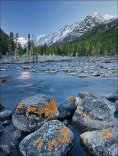 Siberia altai