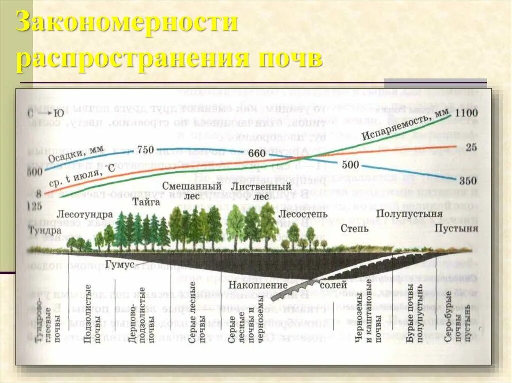 Определите какая растительность соответствует почвам