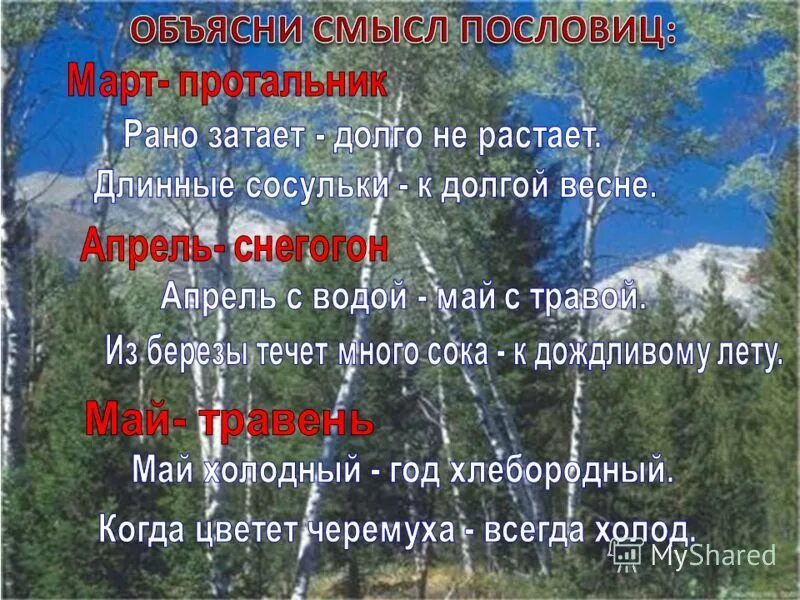 Весенние пословицы и поговорки. Пословицы и поговорки о весне. весенние пословицы для детей. пословицы о весенних месяцах. поговорки про май.