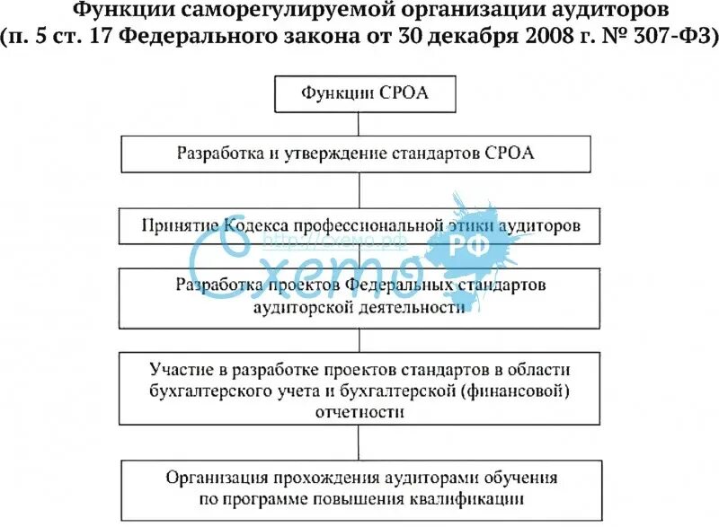 Функции саморегулируемых организаций. Функции саморегулируемых организаций аудиторов. Функции саморегулирующей организации аудиторов. Функции СРО аудиторов. Саморегулирование организации аудиторов.