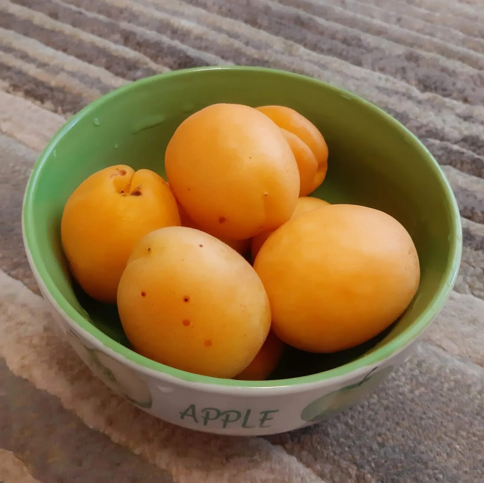 Абрикос лысый сорт. Лысый абрикос как называется. Узбекские абрикосы шалах. Лысые абрикосы название. Лысый абрикос как называется.