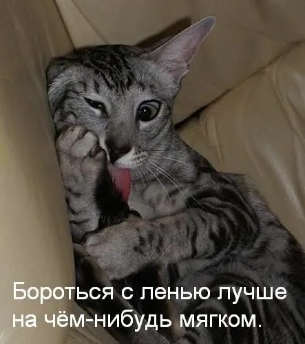 Просто ничего не делаю. Хорошо ничего не делать а потом отдохнуть. хорошо ничего не делать. ничего не делать картинки. хорошо ничего не делать а потом еще и отдохнуть.