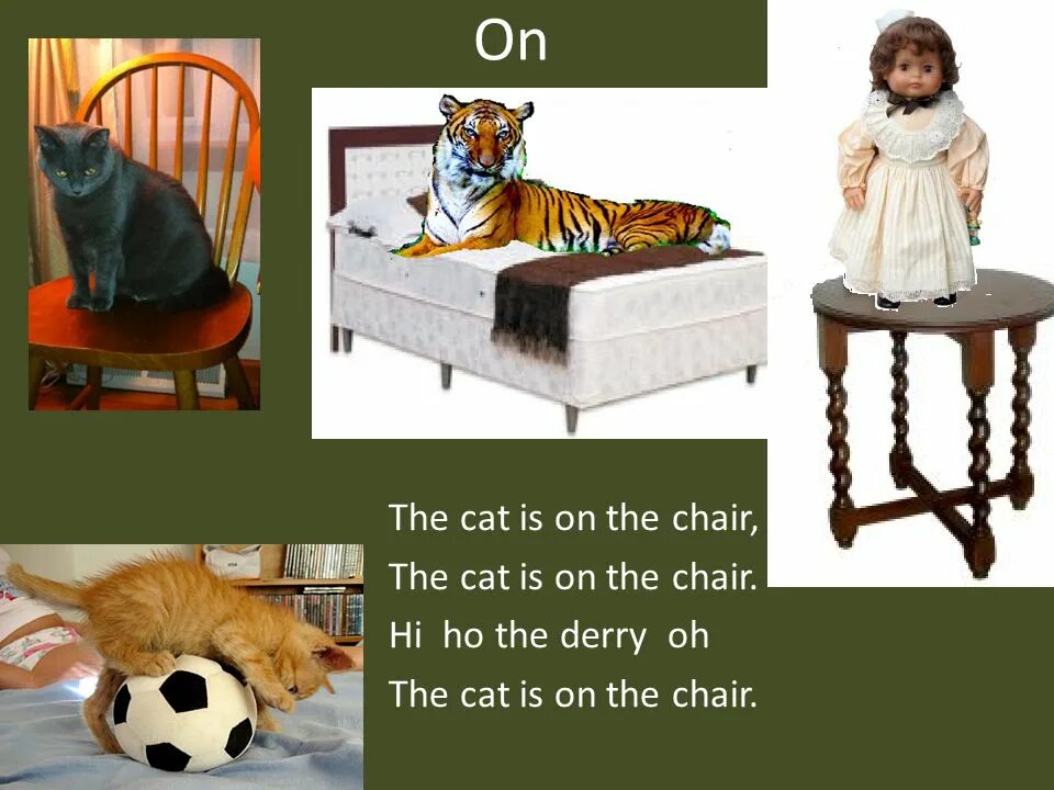The cat is the chair. The Cat is on the Chair. The Cat is the Armchair. The Cat is on the Armchair. Cat is in the Chair.