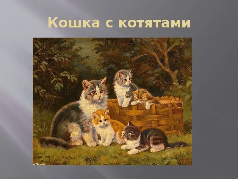 Котята играют составить предложение. Котята играют составить предложение