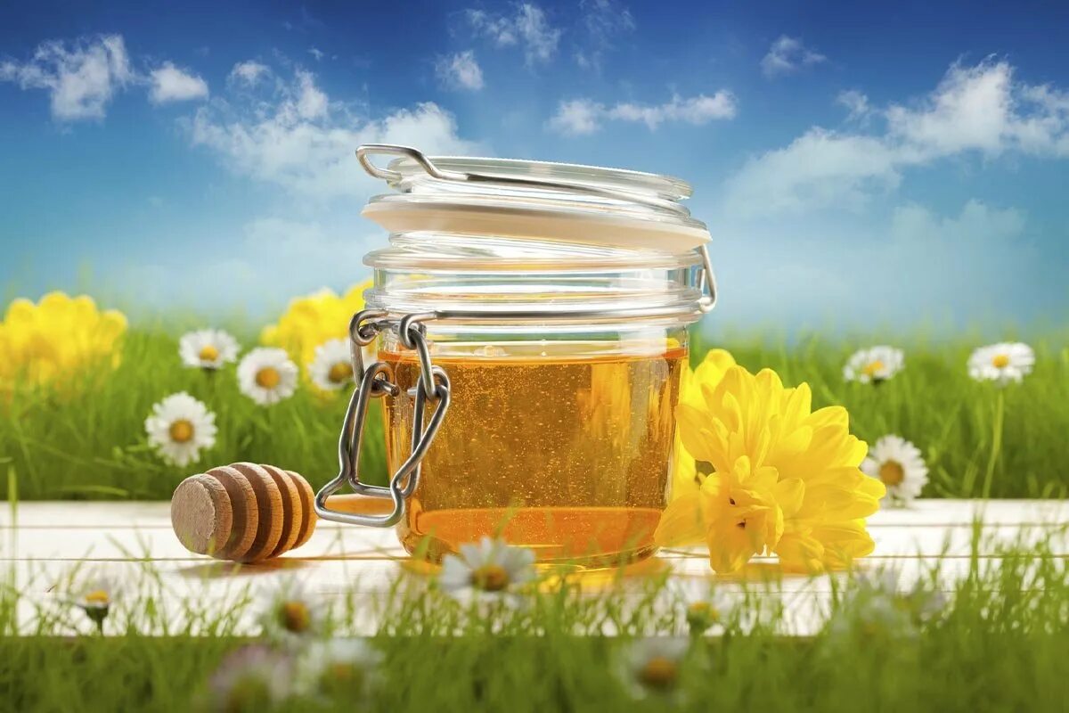 Сладок твой мед. Мёд разнотравье. Мед медовый спас разнотравье. Мед Луговое разнотравье. Пчелы и мед.