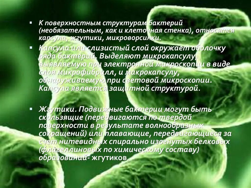 Микроворсинки бактерий. Функции микроворсинок у бактерий. Поверхность структуры бактерий. Поверхностные структуры бактерий. Слизистый слой бактерий