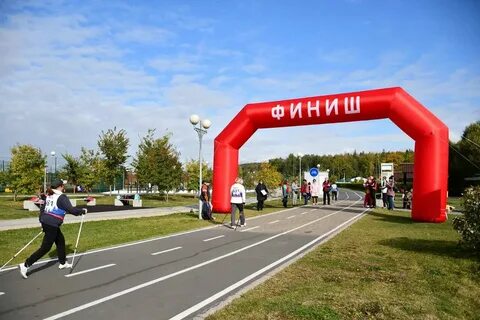 Спортивные г
