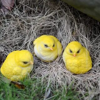 3 маленьких цыпленка