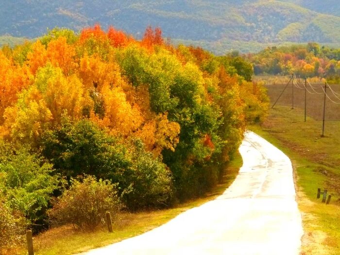 Тункинская долина. 3250 осень в долине. Долина осенью. Осень долина. Долина осенью.