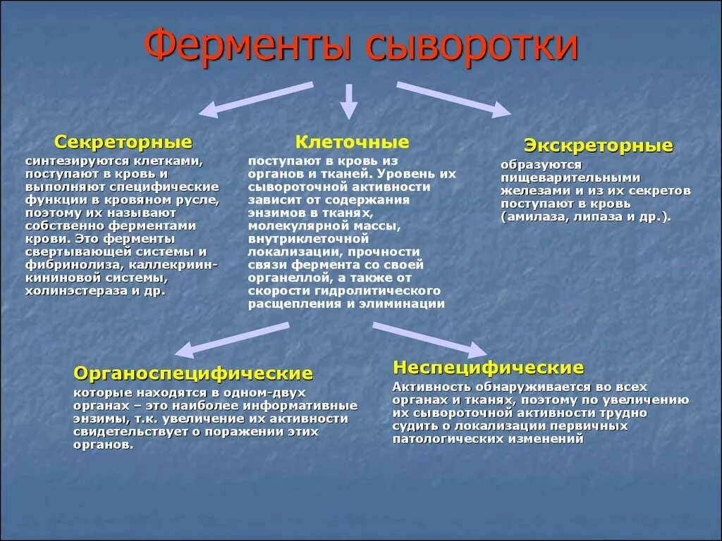 Экскреторные ферменты сыворотки крови. Секреторные экскреторные и индикаторные ферменты. Группы ферментов сыворотки крови. Активность ферментов в сыворотке крови. Активная группа фермента