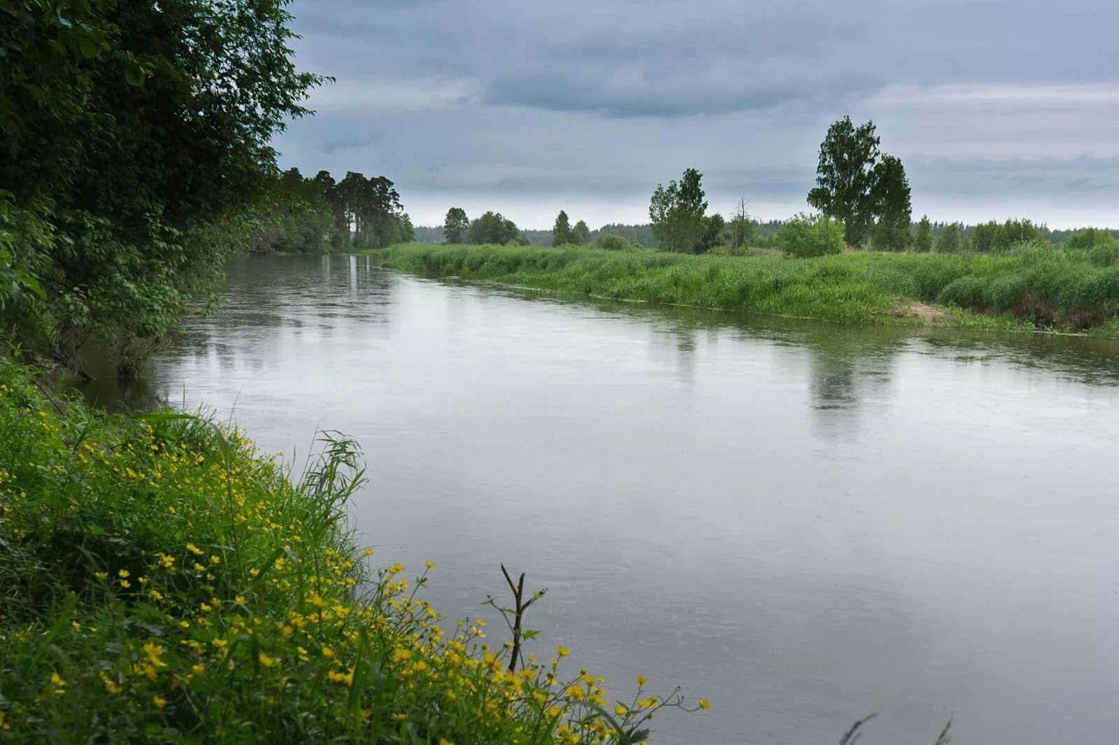 Река уводь. Река Уводь Владимирская область. Река Уводь Иваново. Д Приволье Камешковский район. Уводь Ковровский район.