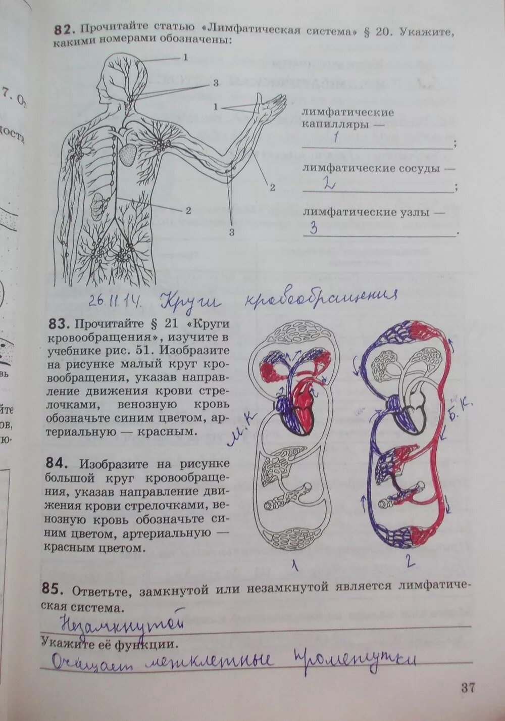 Биология 8 рабочая тетрадь жемчугова. Учебник по биологии 8 класс Колесов учебник. Биология 8 класс Колесов маш Беляев. Биология 8 класс д.в.Колесов р.д.маш и.н.Беляев. Задания по биологии 8 класс.