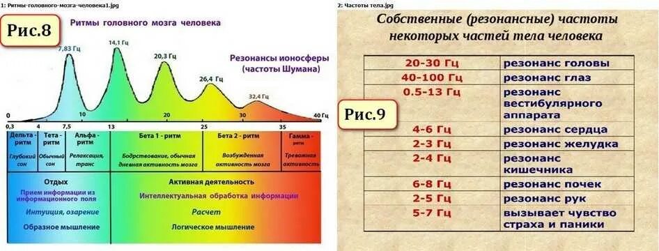 Вибрации головного мозга частоты. Частота мозга в Герцах. Частота волны Шумана. Ритмы мозга Гц. Какие частоты колебаний соответствуют крайним фиолетовым