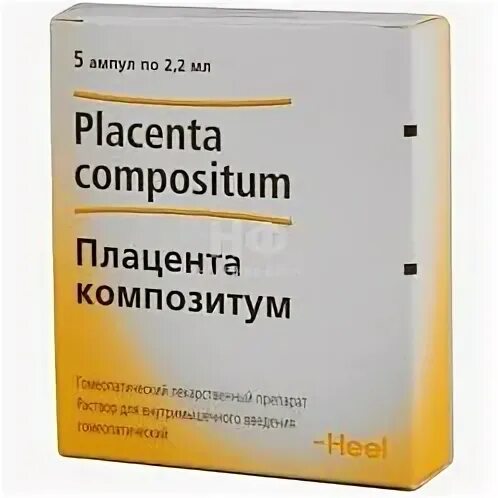 Плацента композитум