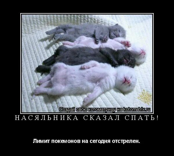 нам нужна новая идея. уложу ребенка и займусь делами. что говорить когда спишь на новом месте. сплю на новом месте приснись жених невесте. что говорить когда спишь на новом месте.