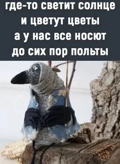 Май будет холодным в 2024 году