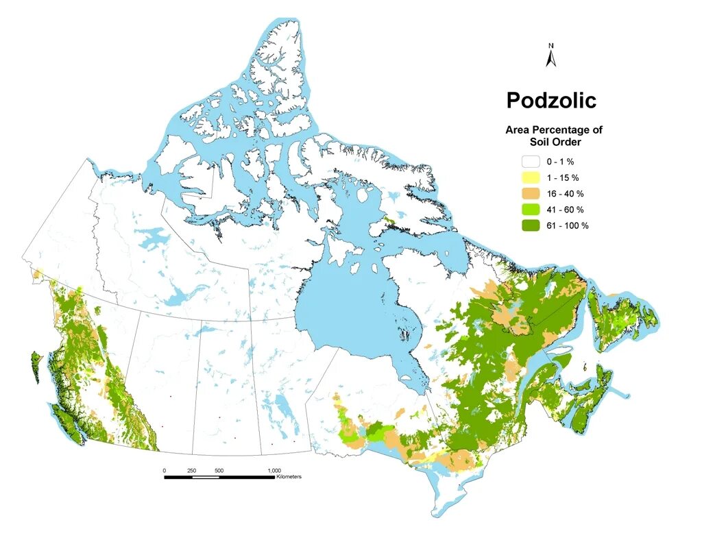 Vegetation and soils