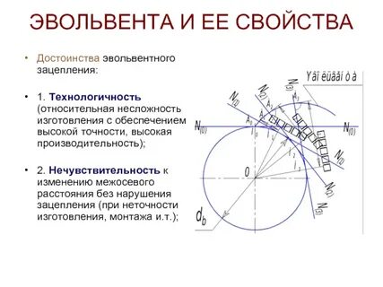 Эвольвента