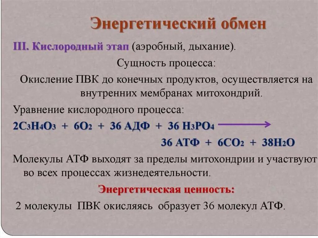 Участие кислорода в энергетическом обмене