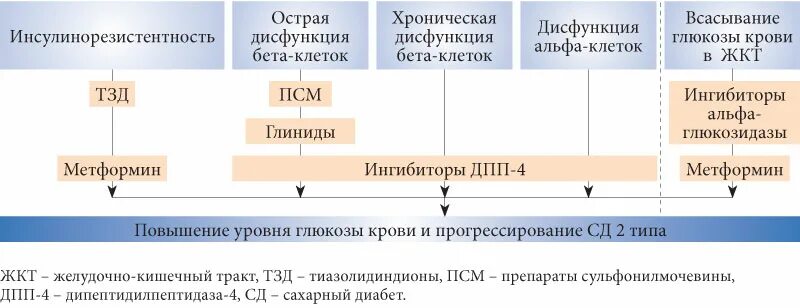 Сахарный диабет 2 типа схема терапии. Схема лечения сахарного диабета 2 типа. Терапия сахарного диабета 2 типа клинические рекомендации. Схема лечения диабета второго типа.