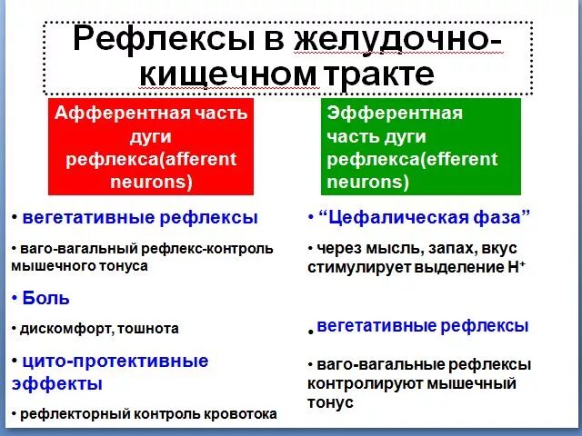 Желудочно желудочный рефлекс. Рефлексы желудочно-кишечного тракта. Ваго-вагальные рефлексы. Ваго-вагальные рефлексы ЖКТ.