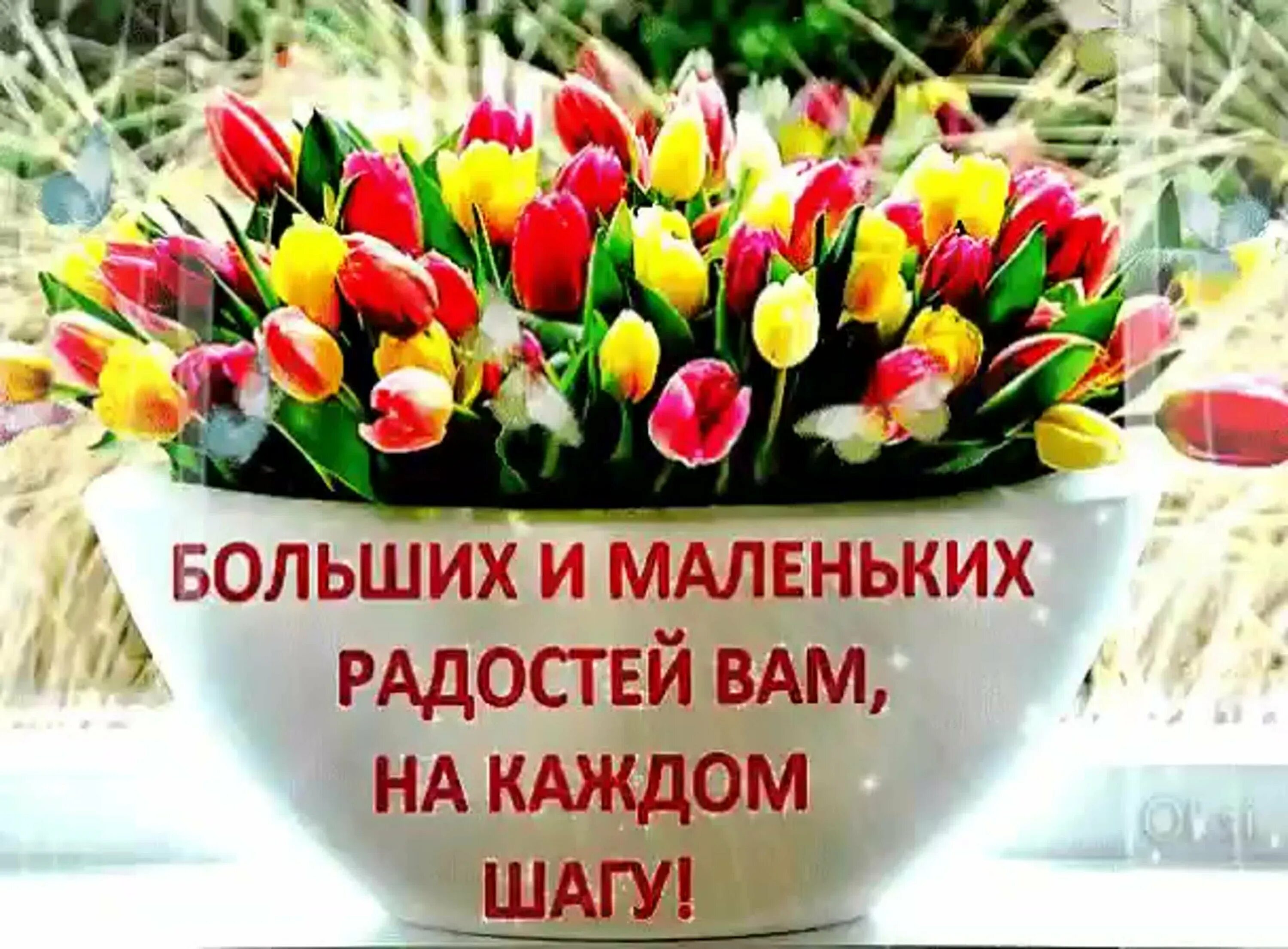 Больших и маленьких радостей вам на каждом шагу. Пожелания доброго утра с тюльпанами. Открытка здоровья удачи и всех благ. Здоровья и радости. Здоровья и радости в новом дне