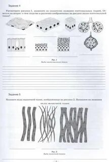 Рабочая тетрадь по дисциплине