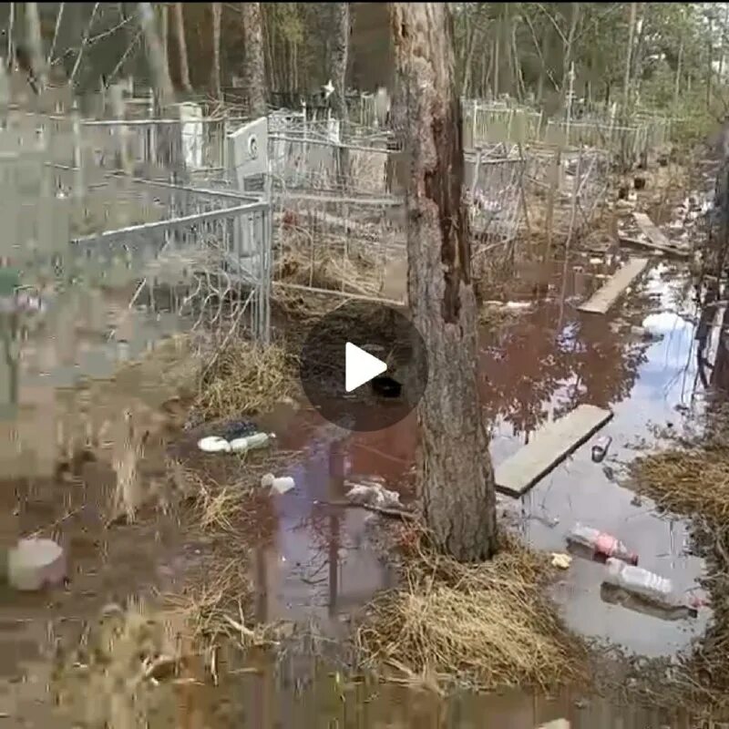 В казахстане размыло кладбище. Правда что в казахстане размыло кладбище. Правда что в казахстане размыло кладбище. Правда что в казахстане размыло кладбище. Казахское кладбище фото.