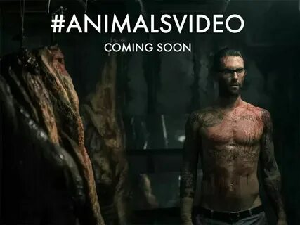 Animals maroon 5 текст перевод