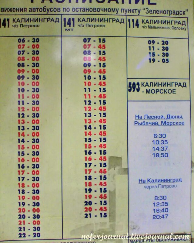 Расписание автобусов зеленоградск северный. 140 Автобус Калининград Зеленоградск. Расписание автобусов Калининград Зеленоградск 141 ,140.