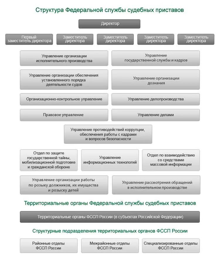 Федеральная служба судебных приставов задачи. Структура отдела судебных приставов схема. Структура ФССП РФ схема. Структура органов ФССП РФ схема. Структура управления ФССП России.