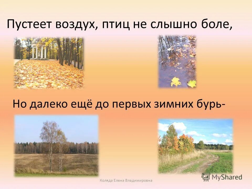 Только слышно было как далеко далеко. Пустеет воздух птиц не слышно боле. пустеет воздух птиц не слышно боле но далеко еще до первых зимних бурь. пустеет воздух птиц. птиц не слышно боле.