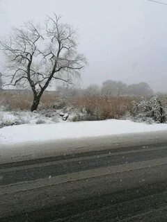 Погода в армавире в ноябре