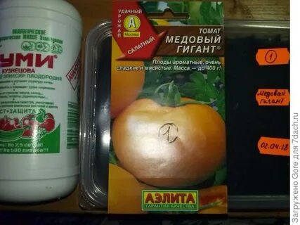 Медовый гигант