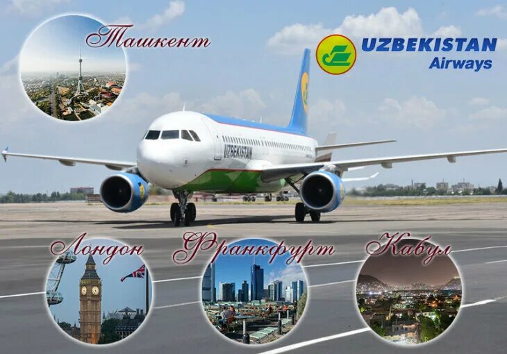 Авиакасса логотип Uzbekistan Airways. Узбекистан хаво йуллари логотип. Узбекистан хаво йуллари авиакасса. Хаво йуллари Узбекистон хаво йуллари. Купить авиабилеты дешево хаво йуллари