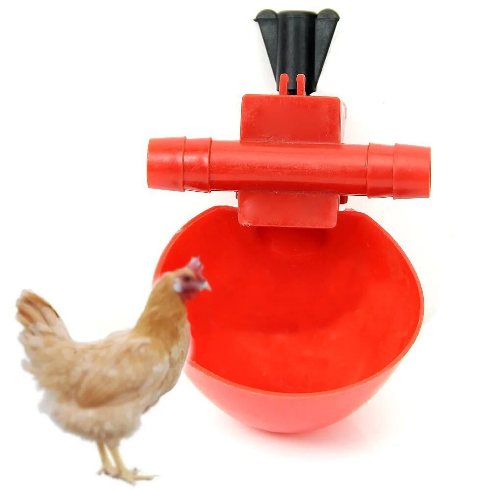 Автопоилка для птиц. Поилка для птиц. Автоматическая поилка для кур. Чашечная поилка для кур. Вакуумная поилка для кур.