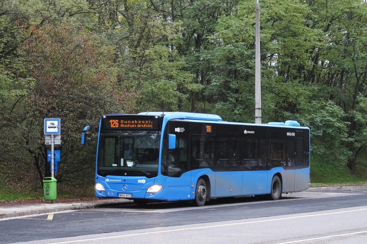 Городской автобус. 810 автобус. Маз 203 домтрансавто. Автобус 810 отменен. Донтрансавто долгопрудный.