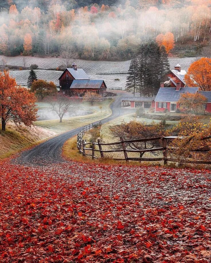 Осеннее утро картинки красивые. Штат Вермонт природа. Осенний Вермонт США. Штат Вермонт осень. Осень Америки Vermont.