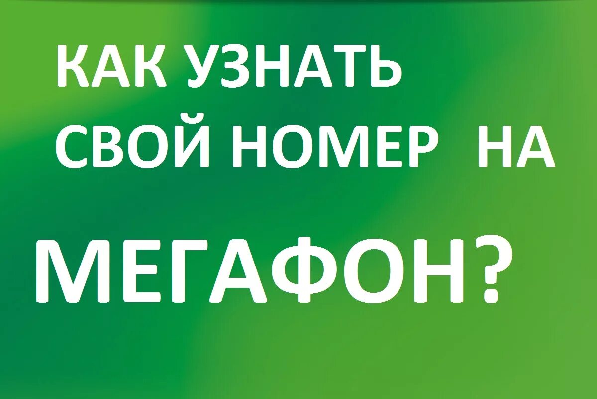 Свой номер МЕГАФОН. Как узнать свой номер МЕГАФОН. Как узнать свой номер телефона МЕГАФОН. Как узнать свой НИМПП МЕГАФОН.