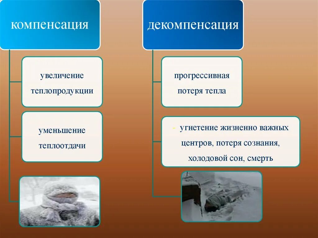 Повышение теплопродукции