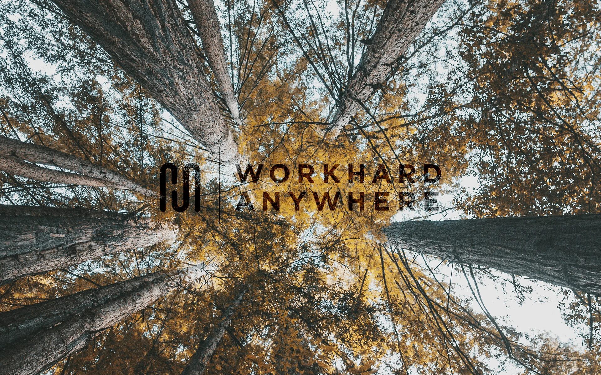 Work hard anywhere. Work hard anywhere обои. Work hard Wallpaper. Обои на ПК work hard.