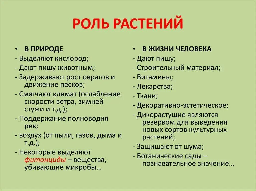 Каково значение растений в природе ответ. Роль растений в природе и жизни человека 6 класс биология кратко. роль опмтений в природе. коль растений в природе. роль растений в жизни человека.