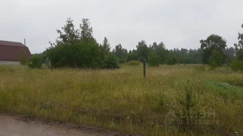 Поселок Ямм. Ямм Гдовский район. Деревня Ямм Псковская область. Манкошев луг Плюсский район. Погода ямм гдовского района