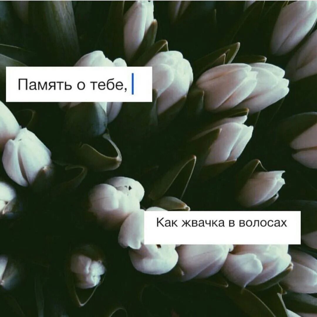 Память о тебе как жвачка в волосах. В память о тебе. память о тебе как. память о тебе как жвачка в волосах текст.