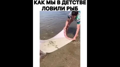 Рыба тряпка