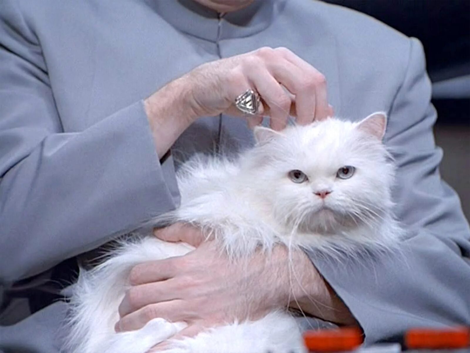 He upset because his cat got. Мистер Бигглсуорт Остин Пауэрс. Остин Пауэрс доктор зло с котом. Mr Bigglesworth. Мистер Бигглсуорт доктор зло.