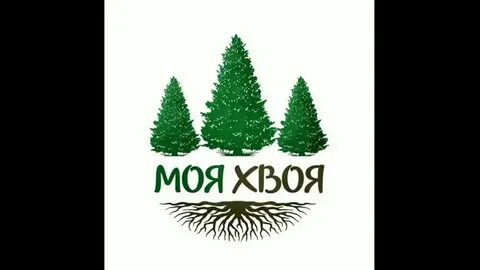 Хвоя волгоград